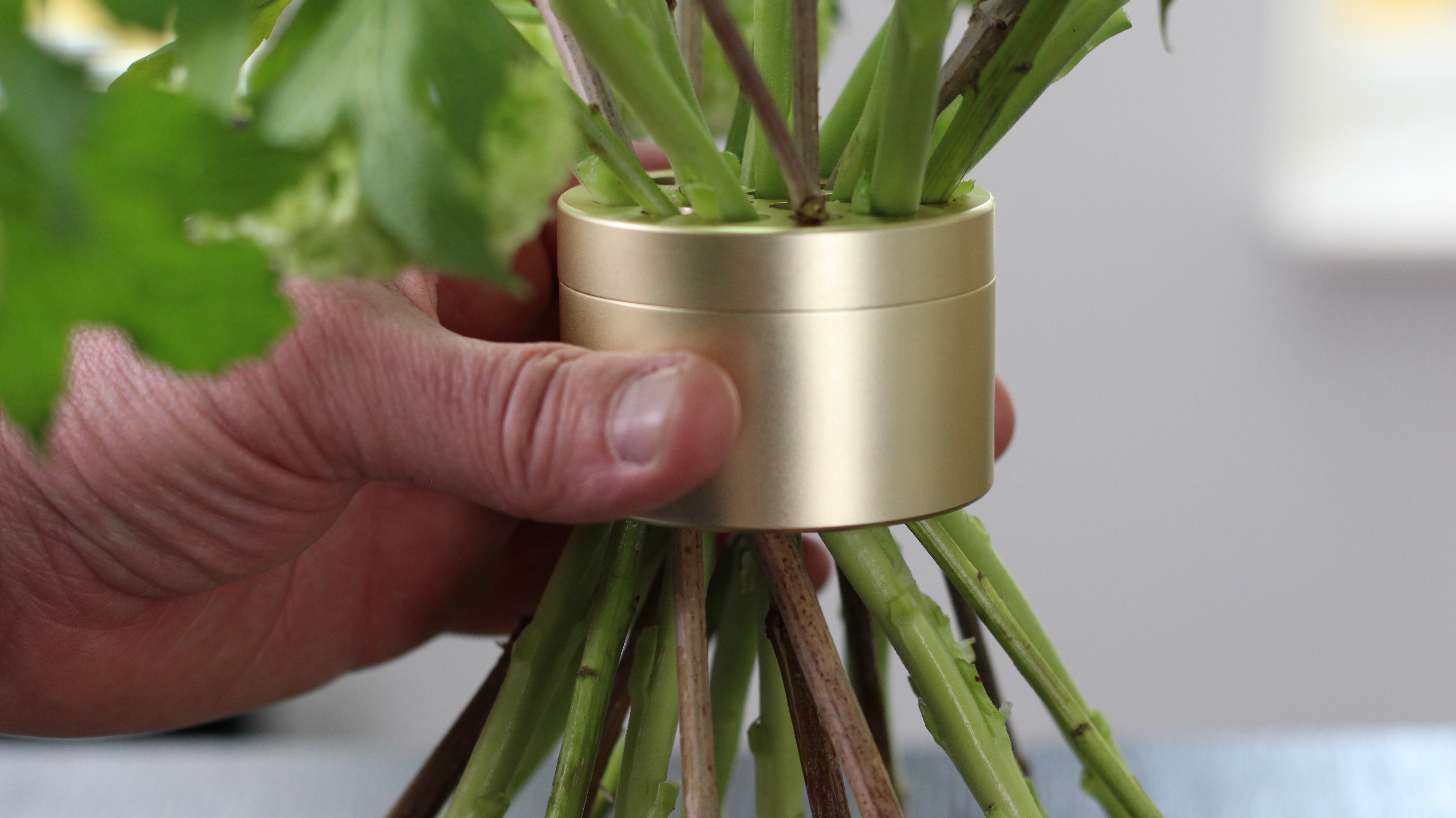 Close up of hand holding a Bouquet Twister Champagne Gold