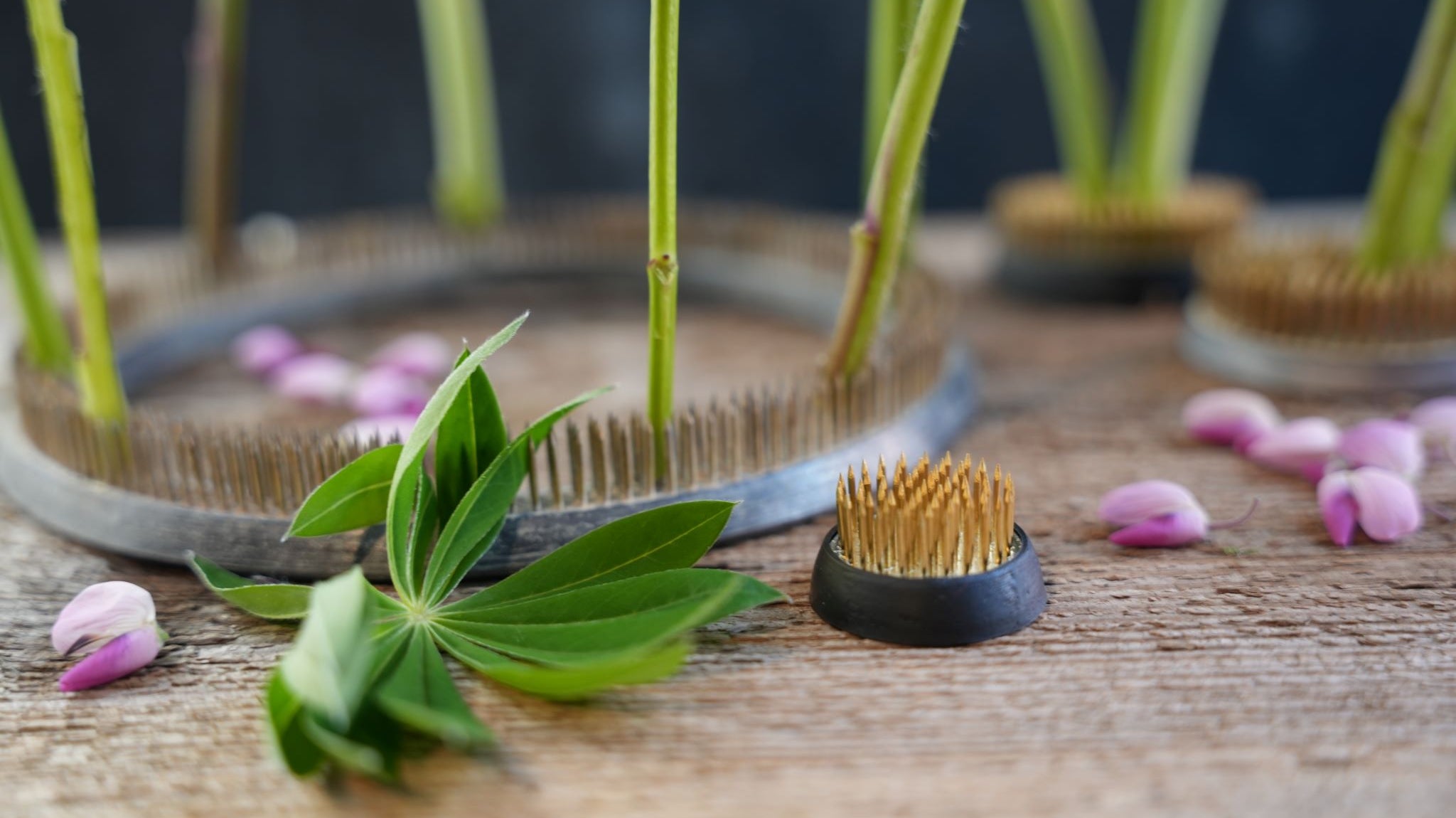 Flower stems securely held in place by a 120mm Kenzan ring.