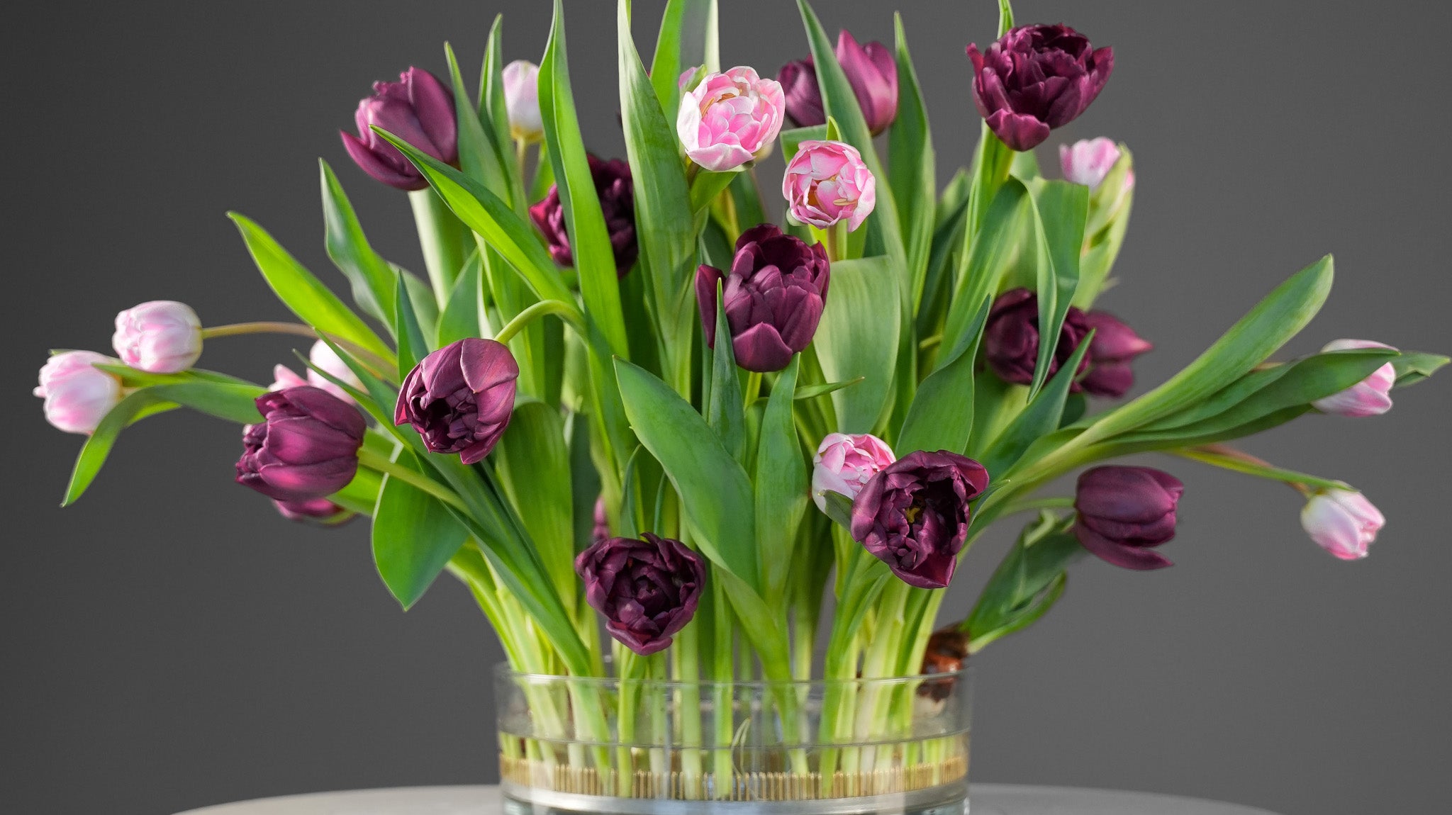 Purple and pink tulips arranged using a 200mm Kenzan on a white pedestal.