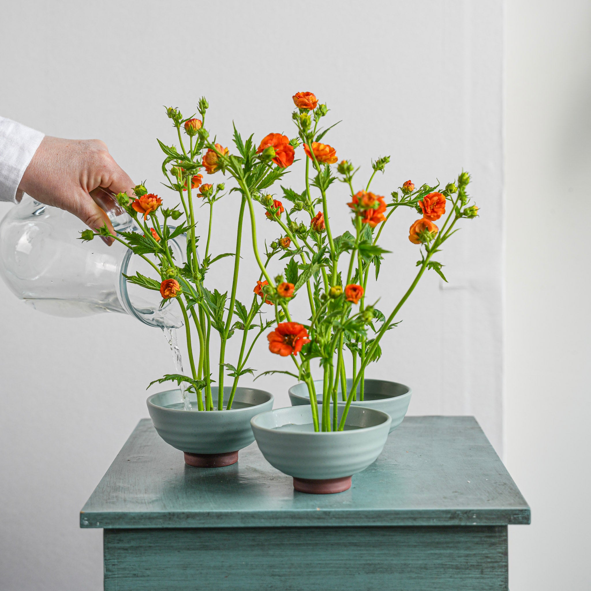 Person pouring water into small ceramic kenzan 'kobachi' pots with orange flowers standing on 34 mm kenzan flower frog on a light gray surface.