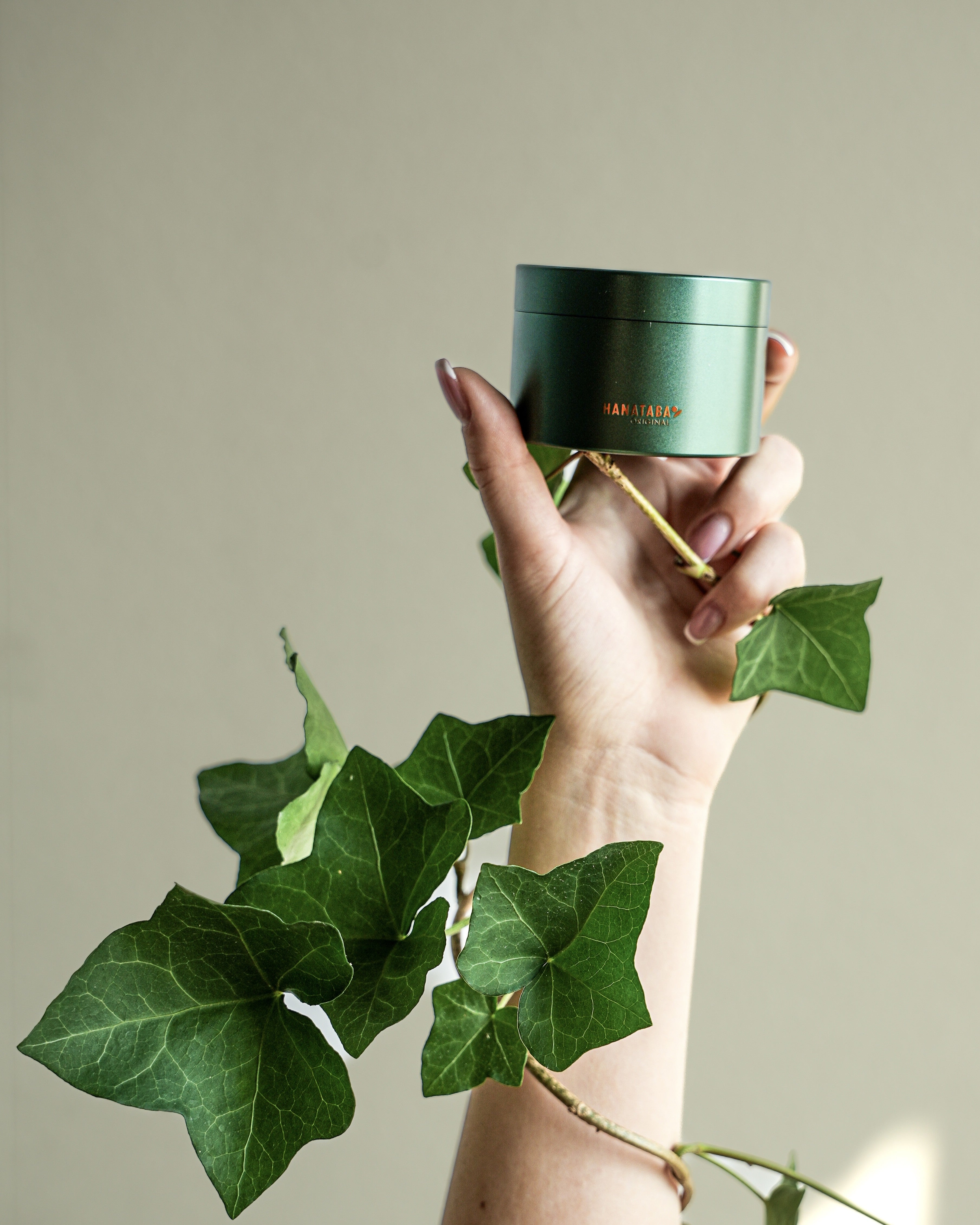 Hand holding an ivy green hanataba bouquet twister with leaves on a neutral background