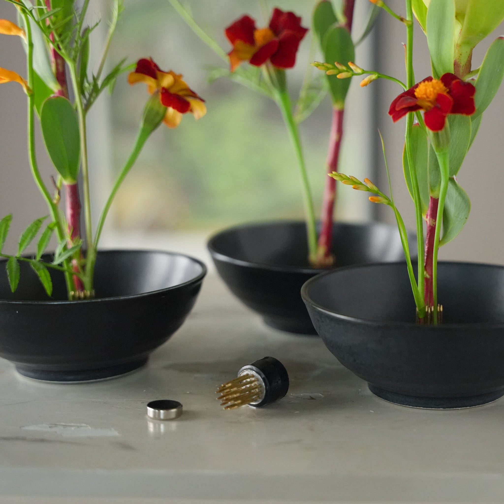 Three black bowls with plants such as Linnéragetes and Leucadendron attached to three Hanataba Magnetic Kenzan on a light surface.