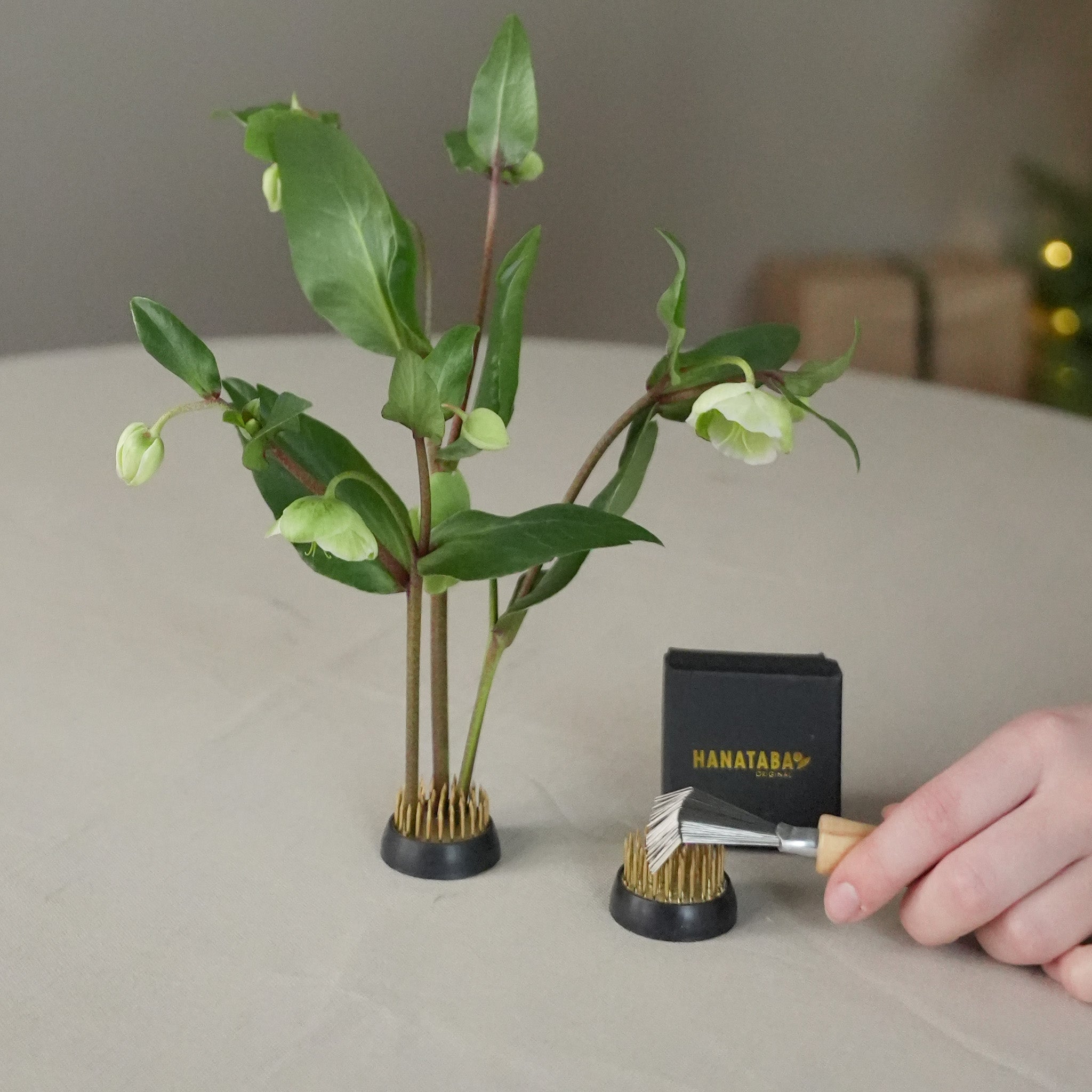 Minimalistic ikebana arrangement using Hanataba Kenzan 34 mm flower frog with cleaning brush, ideal for precise floral styling and Japanese-inspired design.
