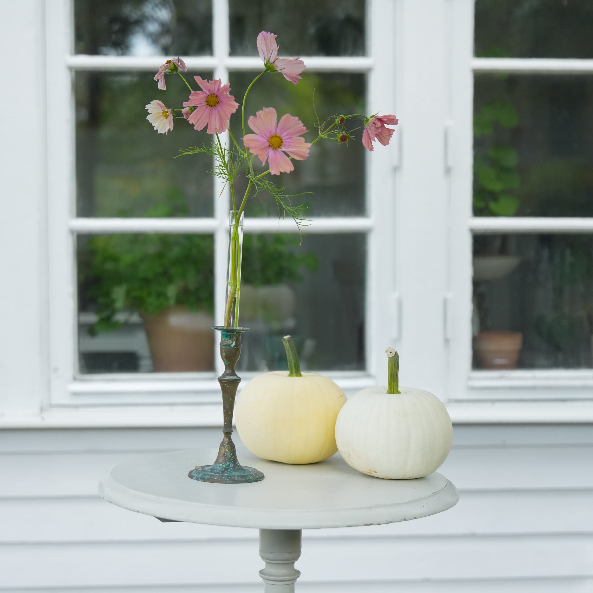 Decorative table with a candle vase holder containing pink flowers and two white pumpkins in front of a window.