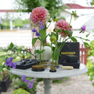 Table with Hanatabas exclusive flower frog trio and tool set, containing kenzan flower frog 34 mm, kenzan flower frog 70 mm, kenzan flower frog ring 120 mm, a kenzan cleaning brush and a japanese scissor for ikebana inspired flower arrangements
