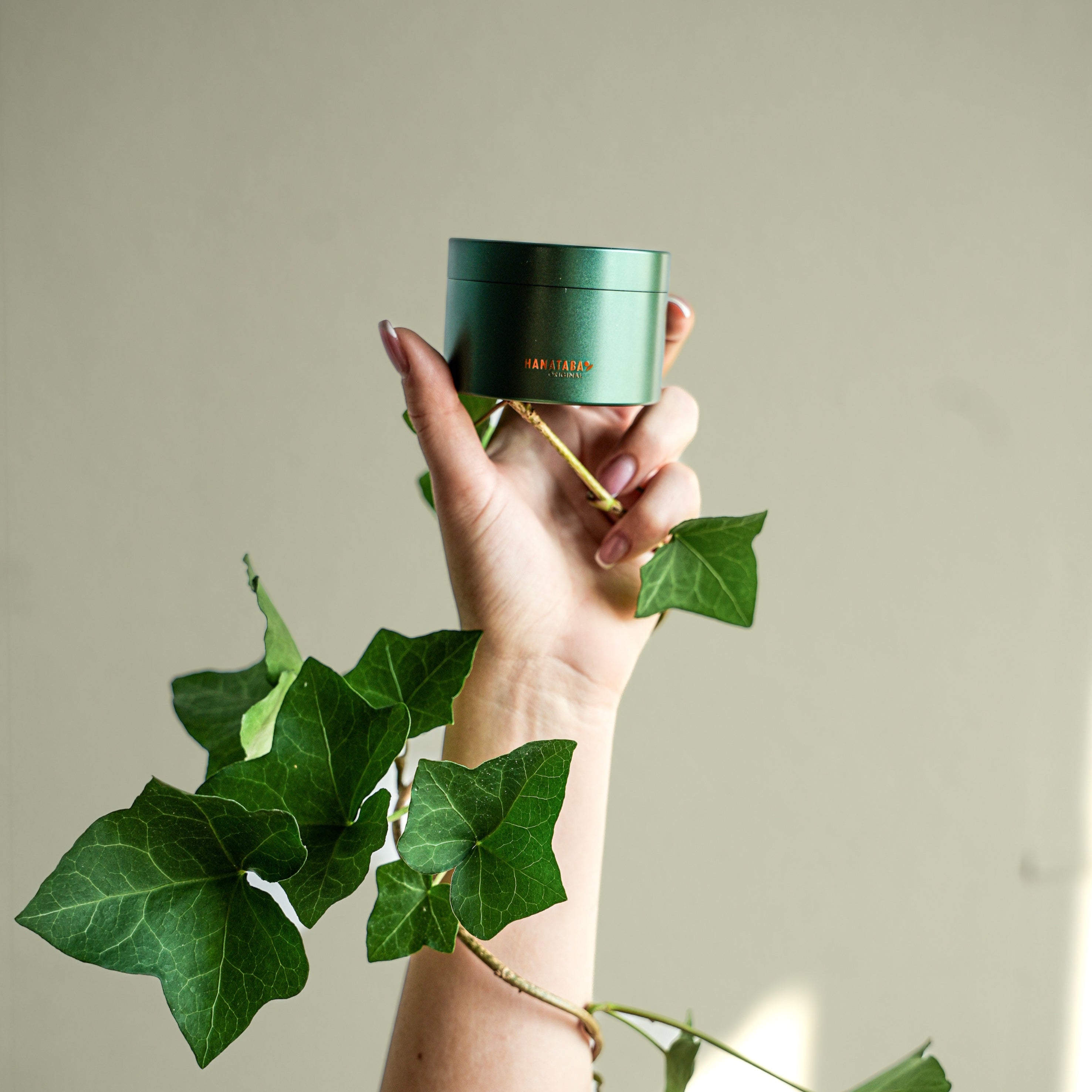 A hand with pink nail polish holds an Hanataba Ivy Green bouquet twister with logo printed in gold. The hand is also holding lush ivy leaves and the background is a light green wall with beautiful daylight.