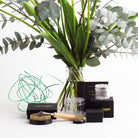 The Home Florist’s Starter Kit – Crystal Clear by Hanataba features an elegant bouquet in a vase with eucalyptus leaves and tulips, surrounded by twisted green bonsai aluminum wire. The kit includes transparent Hanataba Flower Twisters, a 70 mm flower frog, a 34 mm flower frog, a kenzan brush, and black Hanataba packaging boxes, all beautifully arranged on a white surface.