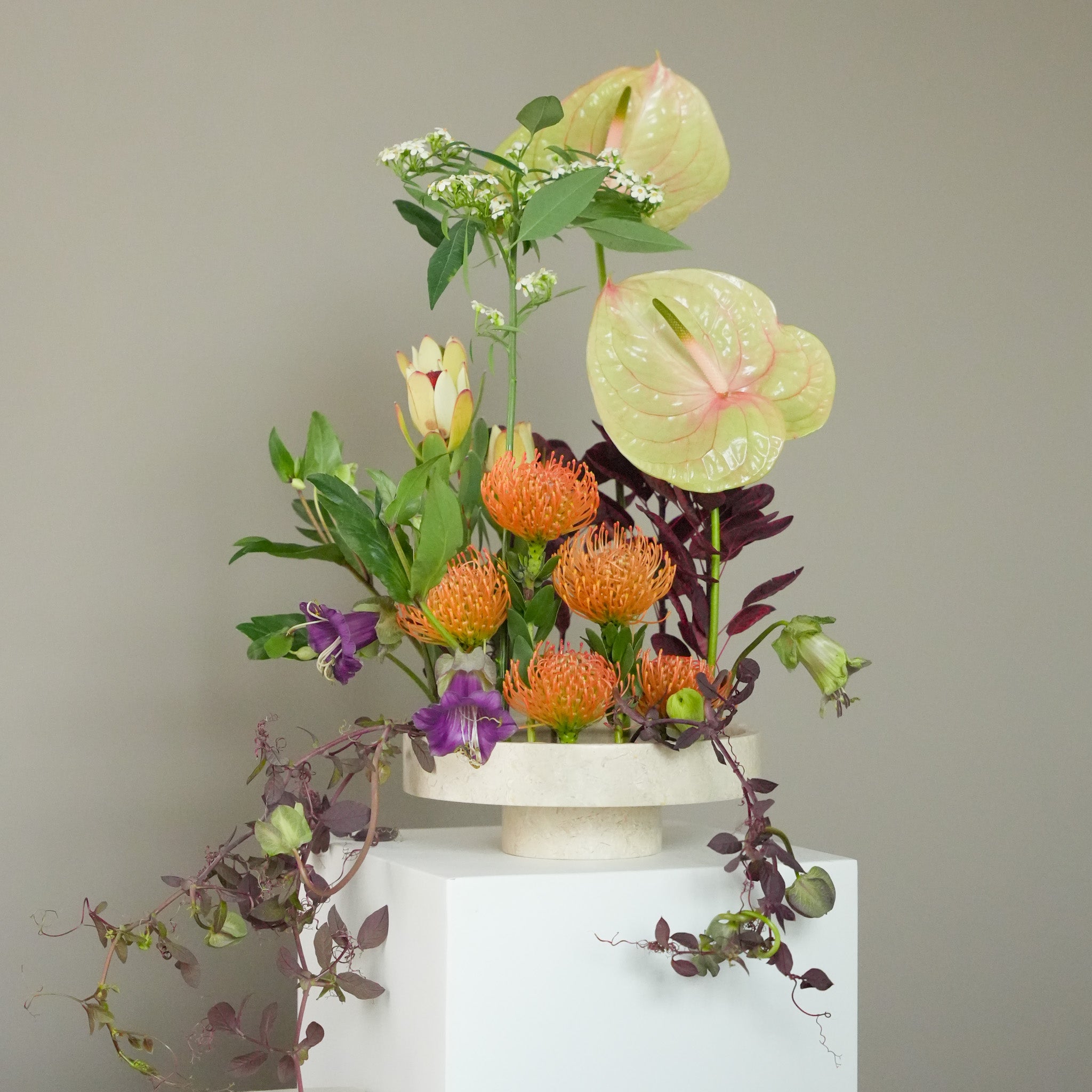 Hanataba kenzan ring 200 mm in a biege marble decor plate containing, Anthurium, Pincushion Protea, Passionflower, Leucadendron, Euphorbia and Tradescantia, placed on a white stand