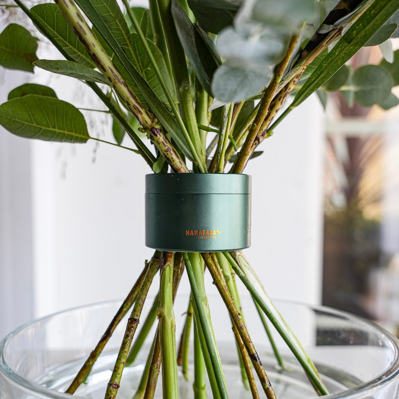 Spiral bouquet creatively arranged with eucalyptus using the Hanataba Ivy Green floral tool.