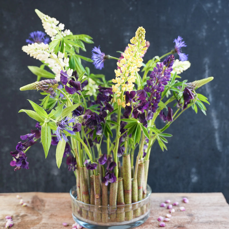Towering spikes of lupine flowers in shades of purple, yellow, and white are strikingly presented in a clear vase, supported by a 200mm Kenzan ring against a dark background, adding a vivid touch to the rustic wooden surface.