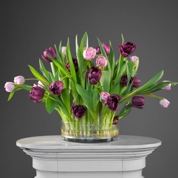 Purple and pink tulips arranged using a 200mm Kenzan on a white pedestal.
