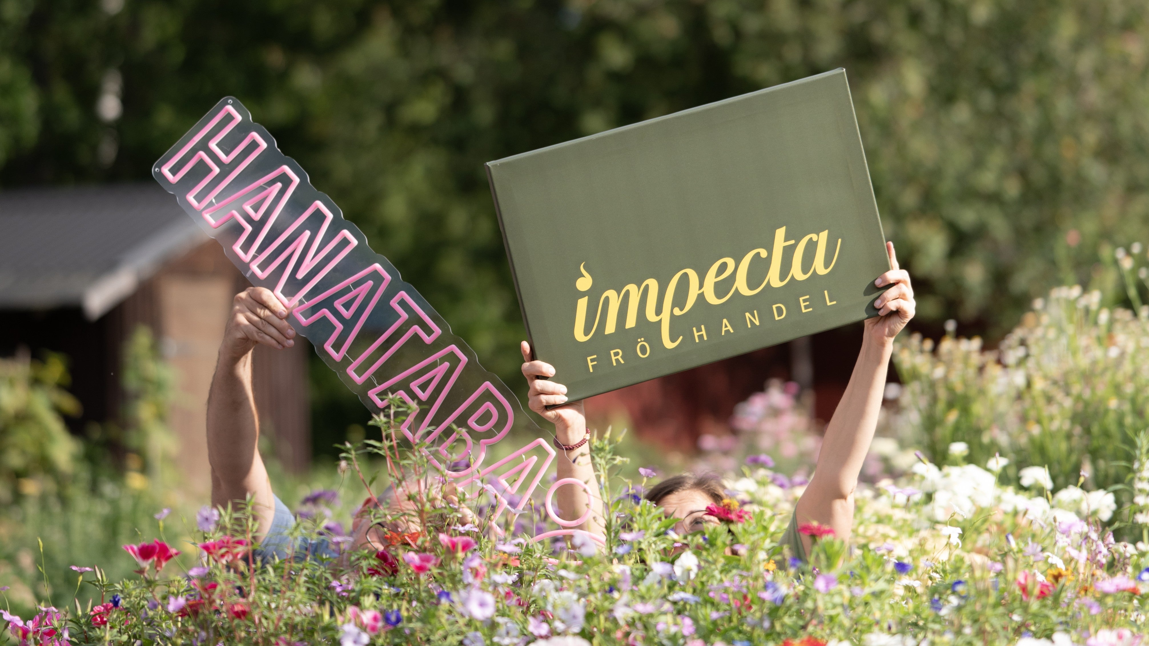 HANATABA x Impecta Fröhandel