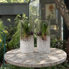 Two tall clear glass vases filled with transparent decorative waterbeads, green foliage, and small brown bulbs, displayed on a round stone table in a garden setting.