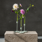 Three slender glass vases filled with water and dahlias, inserted to candle holders for a minimalistic flower arrangement