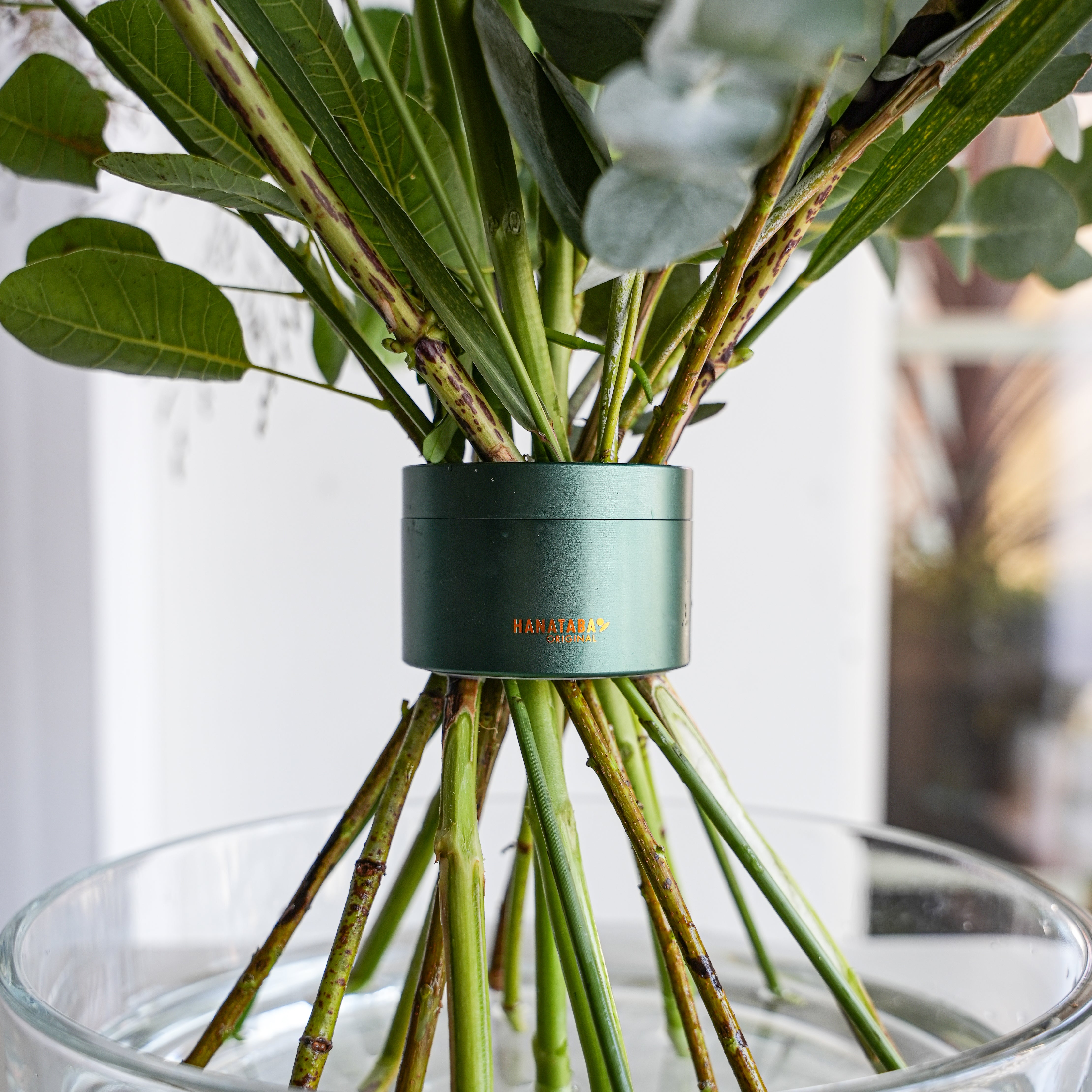 Ivy Green Hanataba bouquet twister in a bouquet of flowers and greens standing on a glass vase.