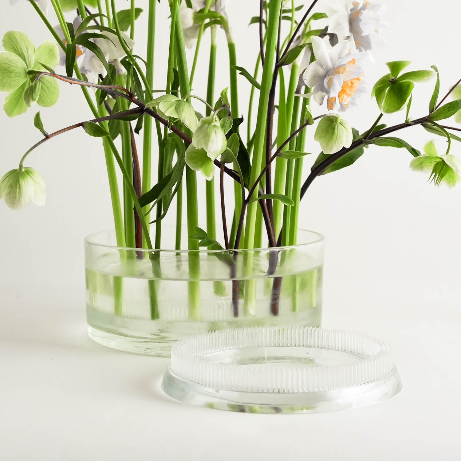 Kenzan Ring 150 mm Acrylic Flower Frog | hanataba.co – Hanataba.co