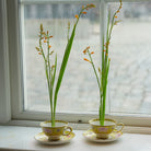 Two floral arrangements containing Crocosmia in vintage teacups on a windowsill.