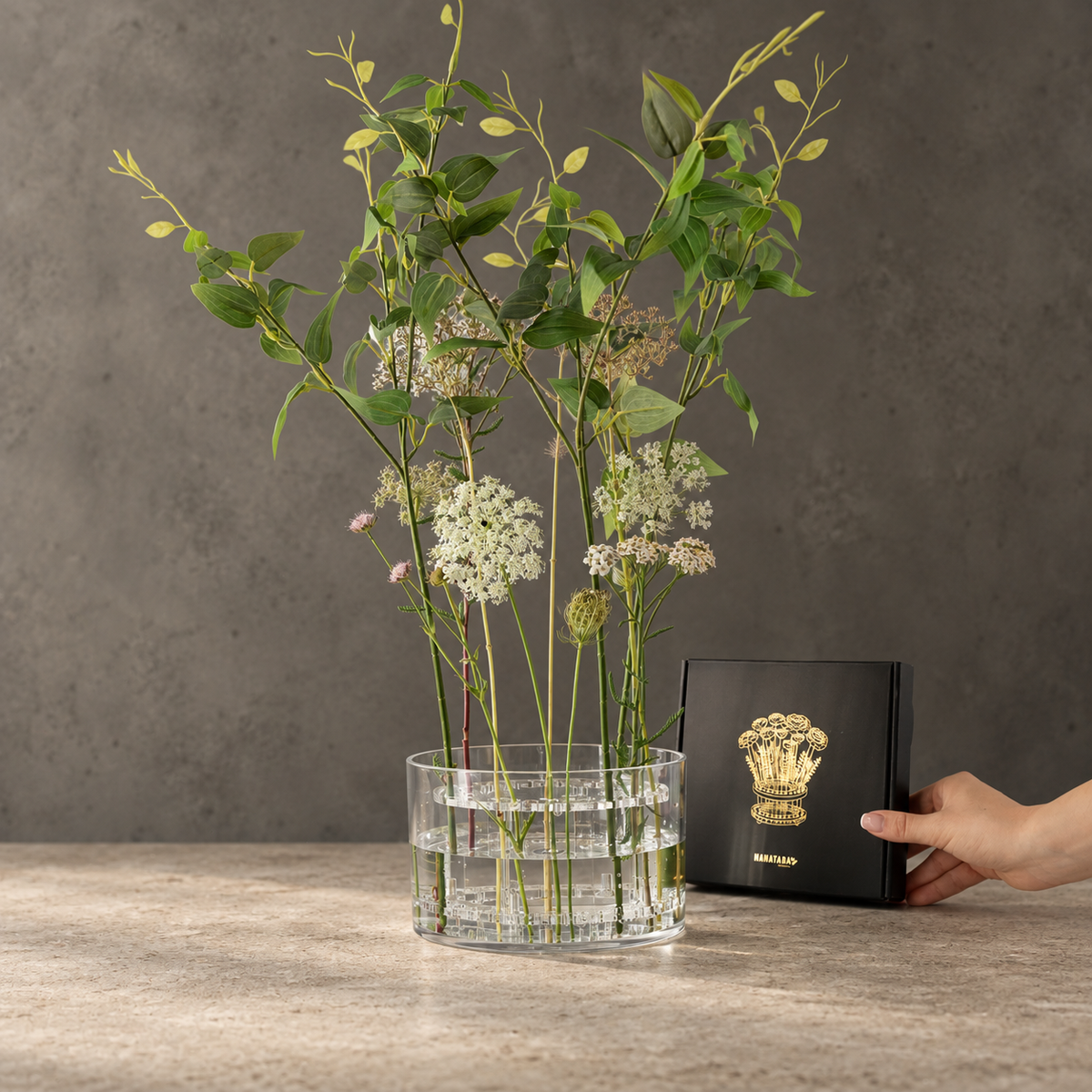 A clear glass vase filled with water and green stems, including white flowers and small yellow-green leaves, set on a stone surface against a textured gray wall. A hand holds a black box with a gold crest next to the vase.
