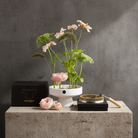 A hanataba floral deisgn kit including kenzan 120 mm flower frog pin holder ring, kenzan rake for deep cleaning kenzans and a white ceramic japanese-inspired pedestal vase next to a black 'HANATABA' box. Standing on a light beige tone piedestal in front of a dark grey concrete wall.