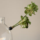 Clear glass vase with a branch of green flowers stuck to a hanataba magnetic mini kenzan against a beige background