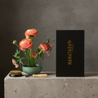 Floral arrangement in a pot with a brush and a black box labeled 'HANATABA' on a concrete surface.