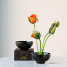 Flower arrangement in a black ceramic kenzan 'kobashi' bowl with a box labeled 'HANATABA' on a light background