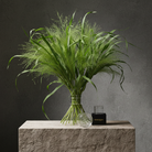 Bouquet of green grasses in a Hanataba bouquet flower twisterin color 'crystal clear' on a stone surface with a dark background