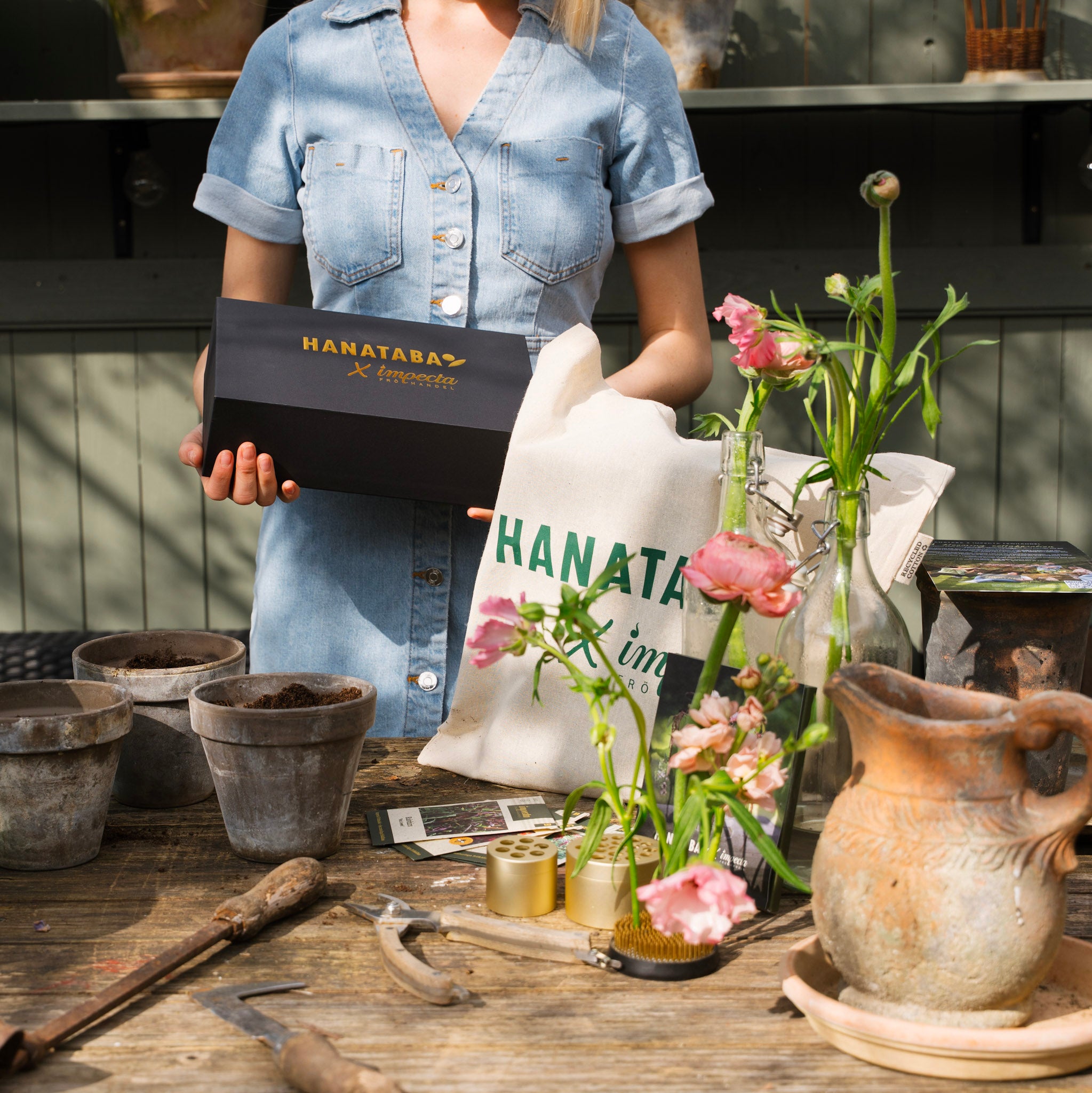 Person holding a 'HANATABA X Impecta Fröhandel' product box with gardening tools and plants on a wooden table.