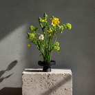 Bouquet of yellow and green flowers in a black ceramic ikebana vase on a concrete block with a gray background
