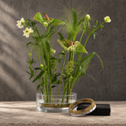 A clear glass vase filled with a mixed floral arrangement of green stems, leaves, and flowers, placed on a kenzan Ring 120 mm Flower Frog. Standing on stone surface against a textured gray wall. A black box and sit beside the vase.