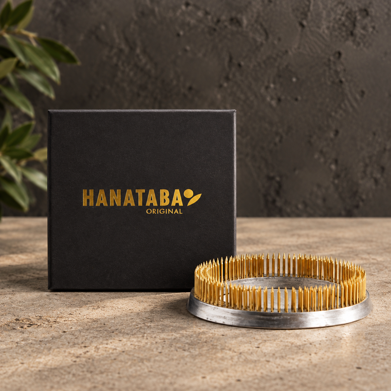 A Hanataba Original Kenzan Ring 120 mm featuring a round metal base holding multiple yellow-tipped pins, shown next to its black branded box on a stone surface.