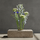 Bouquet of flowers stuck to a kenzan ring 120 mm flower frog ring on a concrete block against a gray background