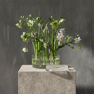 Clear acrylic kenzan ring 150 mm flower frog ring with green plants and white flowers on a concrete block against a gray wall.