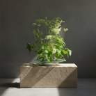 Hanataba Kenzan ring 200 mm (7 \ 7/8") greens and leafs on a stone block in front of a dark grey background