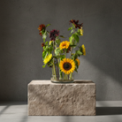 Hanataba Kenzan ring 200 mm (7 \ 7/8") sunflower flower arrangement in a glass vase on a stone block in front of a dark grey background
