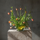 Hanataba Kenzan ring 200 mm (7 \ 7/8") tulip and green flower arrangement on a stone block in front of a dark grey background