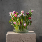 Hanataba Kenzan ring 200 mm (7 \ 7/8") with pinkl parrot tulips in a rippled glass vase on a stone block in front of a dark grey background