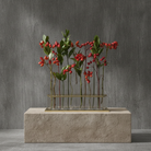 Lisign OSLO vase