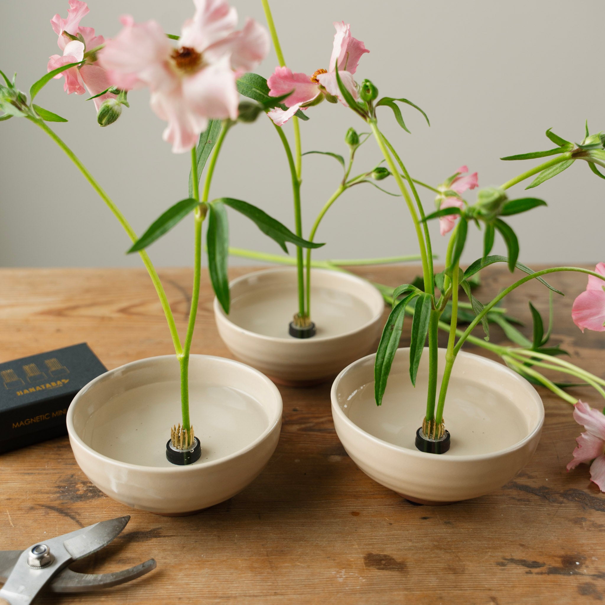 Three small white bowls with plants on hanataba magnetic mini kenzan standing on a wooden surface, with scissors in the background.