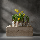 Small glass bowls with yellow flowers with water pearls on a concrete block against a dark background
