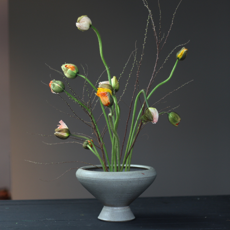 Budding poppies and delicate branches artistically arranged in a gray vase on a kenzan ring.