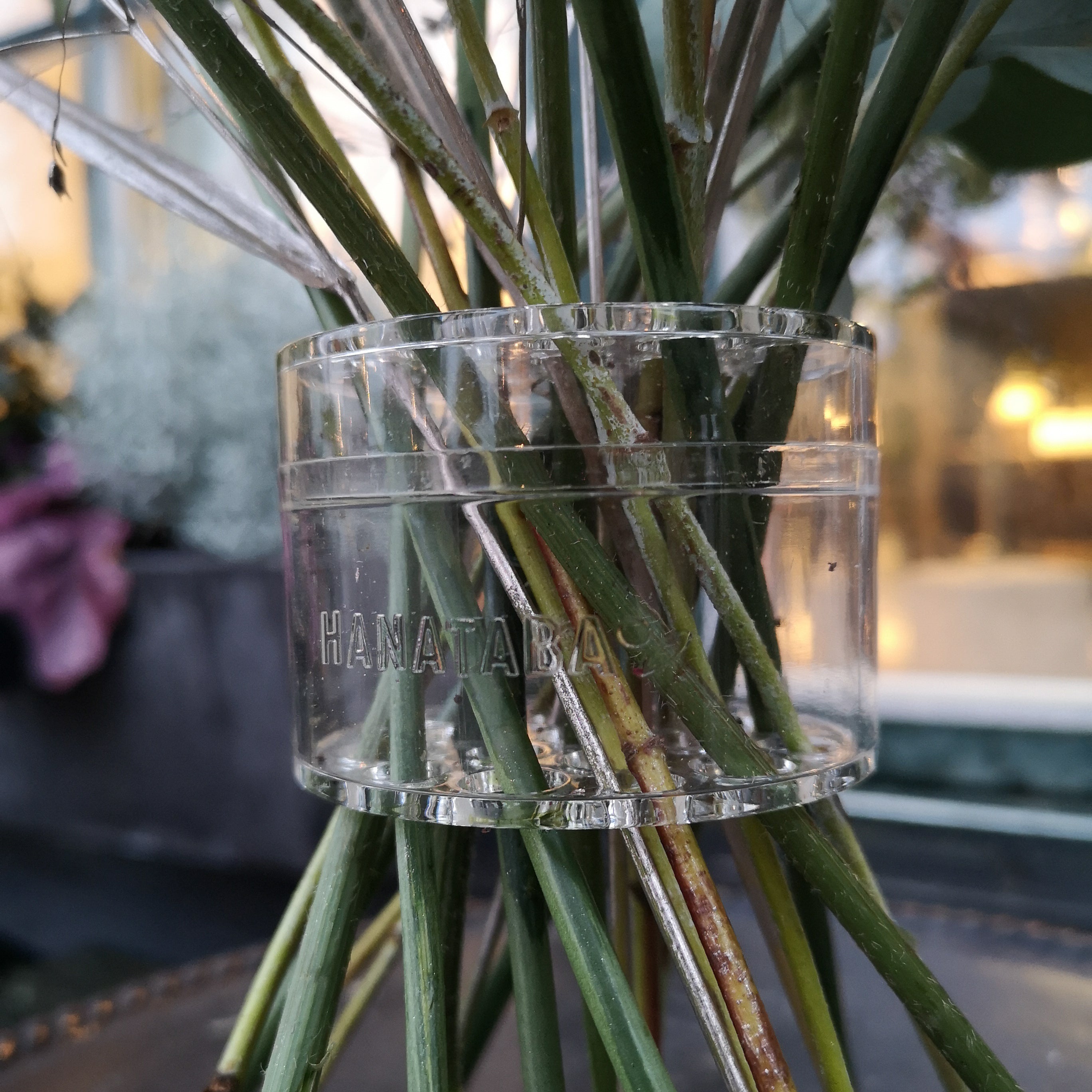 Close-up of a clear Hanataba Spiral Stem Holder embracing a bouquet, with blurred city lights in the background.