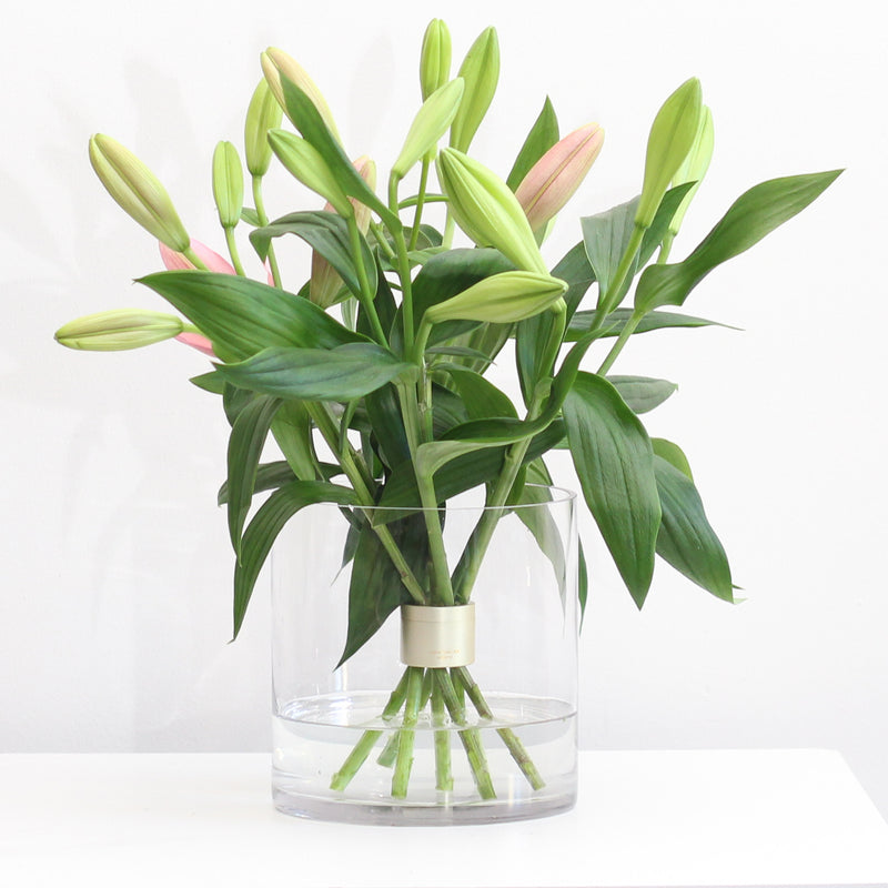 Array of budding pink lilies organized in a clear vase with a champagne gold Hanataba Spiral Stem holder at the base, set against a white background.