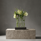 8 clear slender and flexible glass vases 'flower flute' with green leaves on a stone platform against a gray background