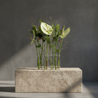 8 clear, slender and flexible glass vases from hanataba with green leaves on a stone block against a dark gray background