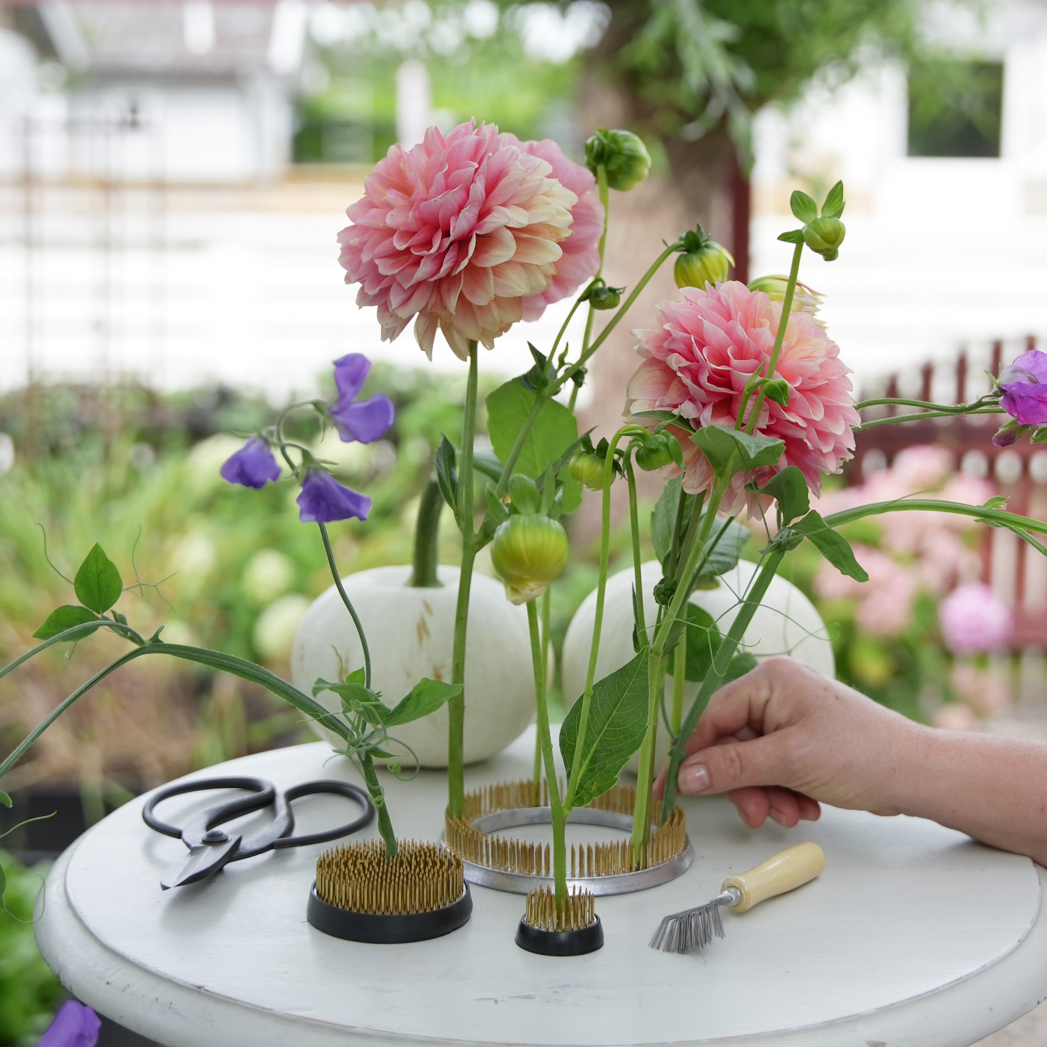 Person arranging dahlias and green flowers on hanataba kenzan flower frog 34 mm, 70 mm and 120 mm ring
