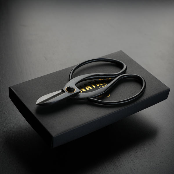 Sleek Hanataba Japanese carbon steel scissors displayed on a black presentation box