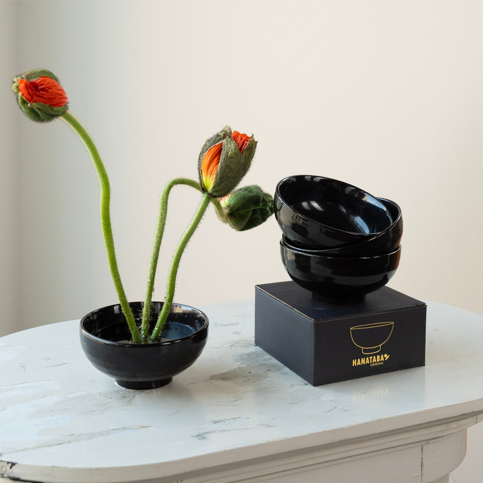 Black ceramic kenzan 'kobachi' bowls with a small plant on a white surface, featuring the brand 'HANATABA'.