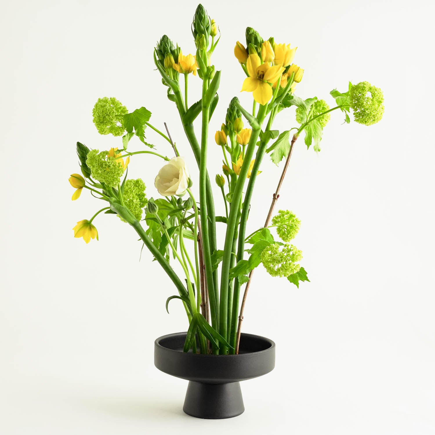 
A minimalist floral arrangement in a black pedestal vase features yellow and white flowers with green foliage on a white background, echoing the refined artistry of an Ikebana bowl. The vibrant colors and varied textures create a fresh, natural look.