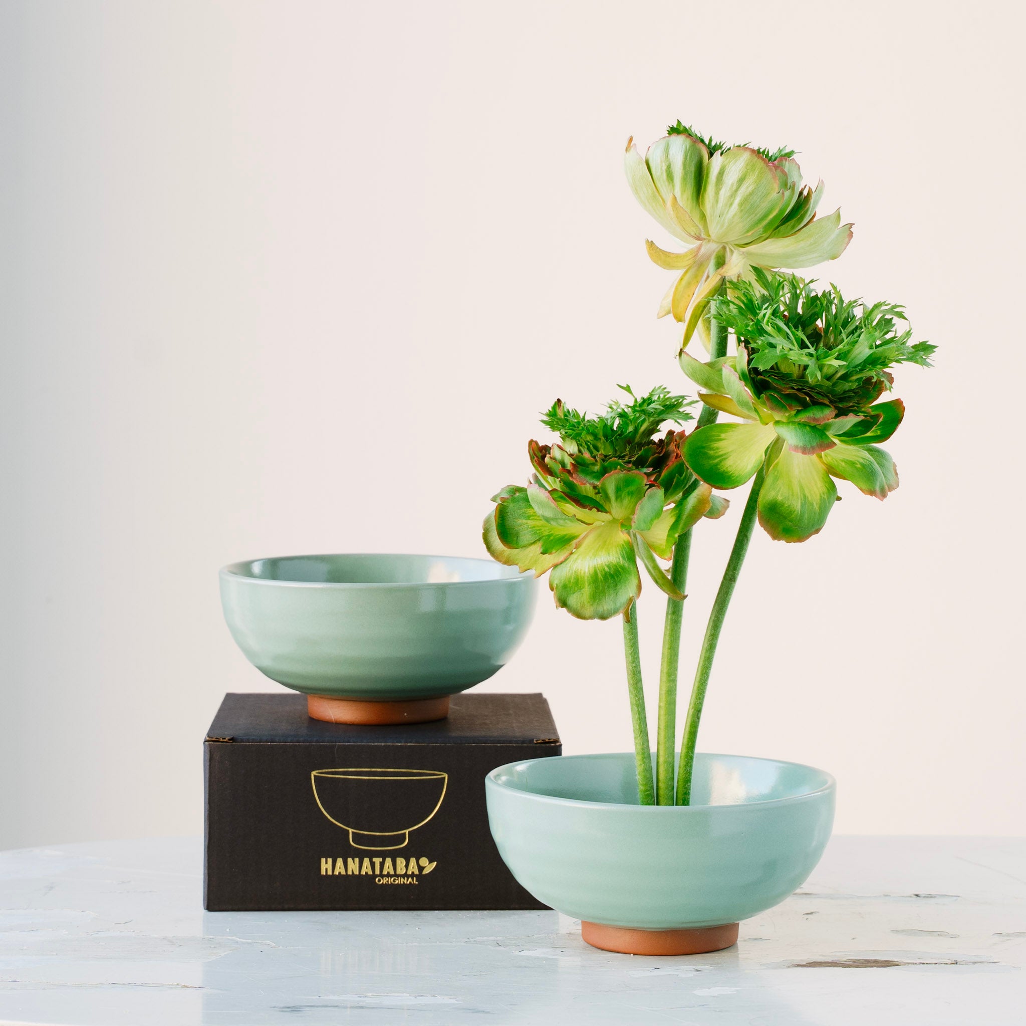 Turquoise ceramic kenzan 'kobachi' bowl with a plant and a matching box on a light surface.